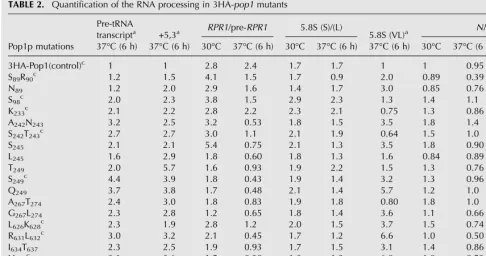 TABLE 2.Quantification of the RNA processing in 3HA-pop1 mutants