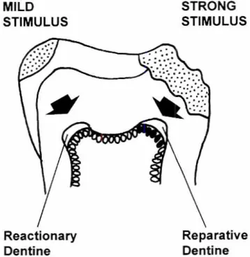 Fig. 1. Schematicof thepositions