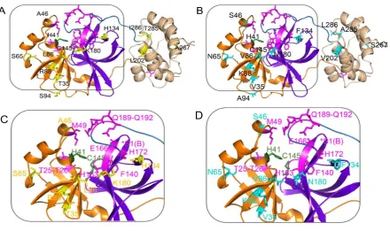 Figure 2.  