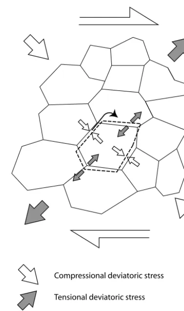 Figure 4. Schematic illustration of grain boundary melting undersimple shear. Melting occurs at grain contacts under high stress(compressional deviatoric stress); regelation may occur at graincontacts under low stress (tensional deviatoric stress)