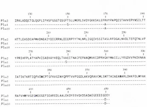 Fig.4. Comparisonsequencesof theC-terminaldeducedaminoacidfromthreedifferentcDNA of P