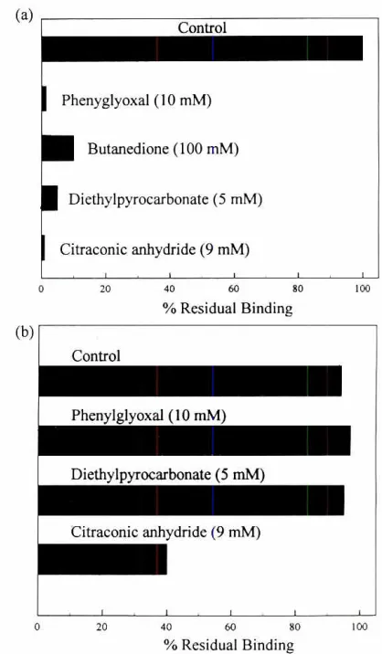 Fig. 1. Aminoacid sequenceand Cysof porcineproacrosin(from Adhametal., 1989 and Baba et al., 1989)