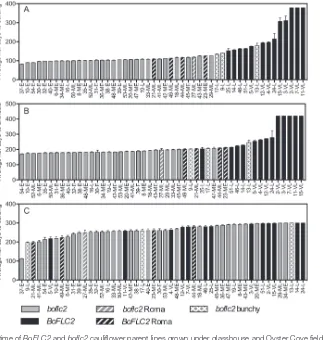 Fig. 1. Curding and flowering time of BoFLC2 and boflc2 cauliflower parent lines grown under glasshouse and Oyster Cove field conditions