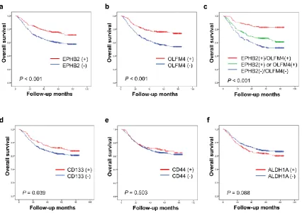 Figure 6. Prognostic significance of intestinal stem cell- and cancer stem cell markers in gastric cancer 