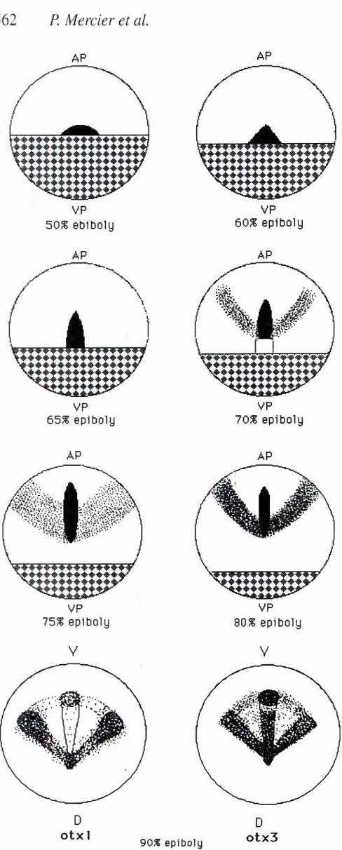 Fig. 4F. Proceeding