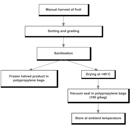 Figure 1.5 Processing flowchart for quandong 