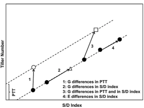 Fig. 1  Schematic representation of the effects of genotypic differ-filled circletriangleences in propensity to tiller (PTT) and in supply/demand index (S/D index) and environmental differences in S/D index on the G × E interaction for tiller number