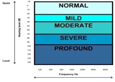 Figure  2. Types of deafness 