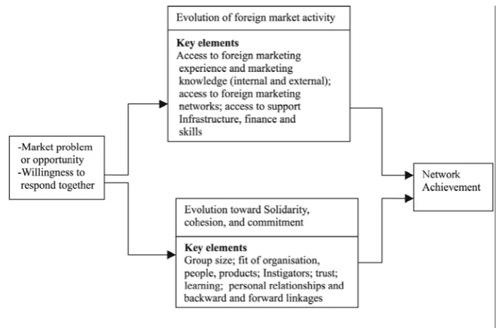 Figure 3.6: Network evolution in developing countries  Source: Ghauri, Lutz & Tesfom (2001) 