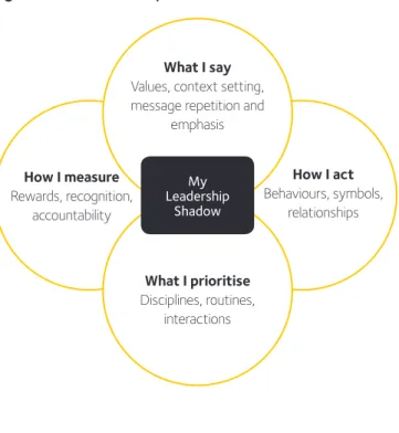 Figure 4: The Leadership Shadow model