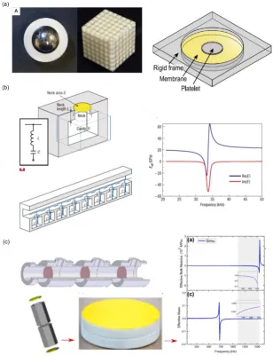 Figure 1. Examples of resonant acoustic metamaterials. (a) Negative mass density (