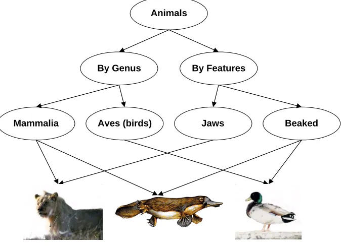 Figure 6.3: Example Taxonomy