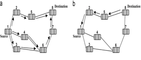 Fig. 2. MAODV join operation : (a)RREQ message, (b)RREP message, and (c) MACT message