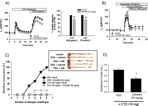 Figure 3FXR activation inhibits colonic epithelialcontribution of ENaC to observed I(intraperitoneal, 50 mg/kg), or vehicle, for 24 h after which muscle-stripped sections of distal colon were mounted in Ussing chambers formeasurements of CCh (100 ﬂuid and 