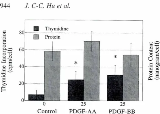 Fig. 5. Changesin thymidineadministration.incorporationand proteincontentinrat pulpcell culturesfollowingexogenousPDGF.AA or PDGF-BBAsteriskdenotesstatistic significance at p<O.05.PDGFsat concentration of 25 ng/ml increased cell proliferation but nottotal protein accumulation in these cultured pulp cells.