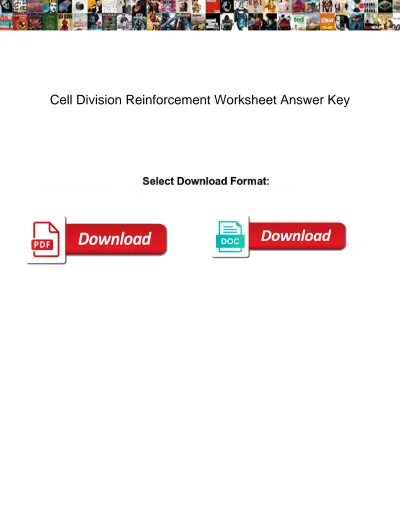 Cell Division Reinforcement Worksheet Answer Key