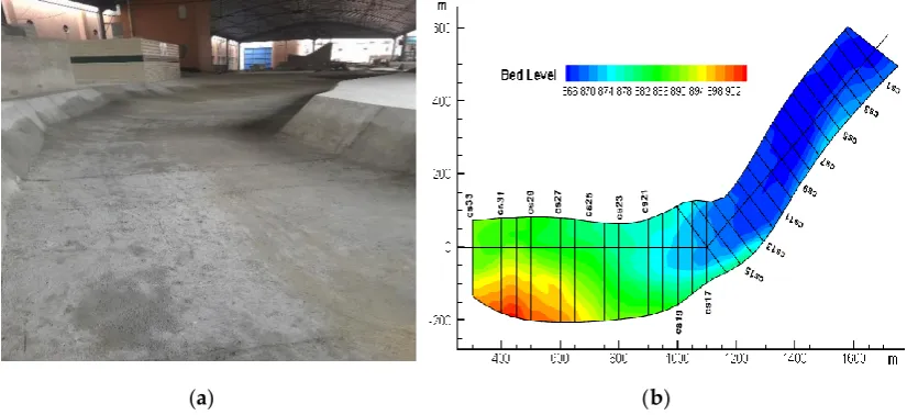 Figure 4. (a) Mesh of the entire simulation area; (b) detailed view of the mesh of bed