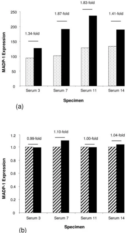 Figure 5. (a) Microarray analysis indicated increased expression ofindicated expression levels in post-surgery (solid black bars) and pre-corresponding pre-surgery sera (dotted bars), while (b) qRT-PCR analysisMADP-1 in all post-surgery sera (solid back bars), compared tosurgery specimens (hashed bars) to be similar.