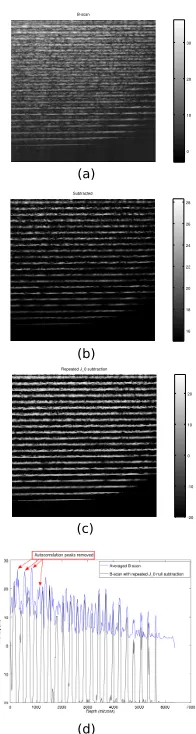 Figure 3: (a) 10x10 averaged B-scan of a stack of coverslips with strong autocorrelation