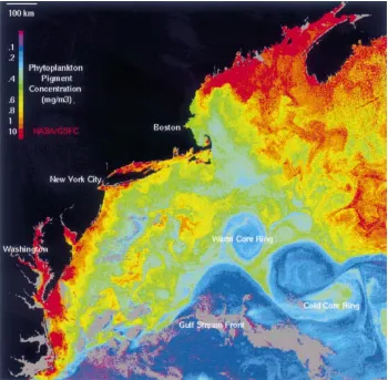 Figure 2 CZCS sea surface chlorophyll (units of mg chlorophyll m�3) image of the east coast of the USA