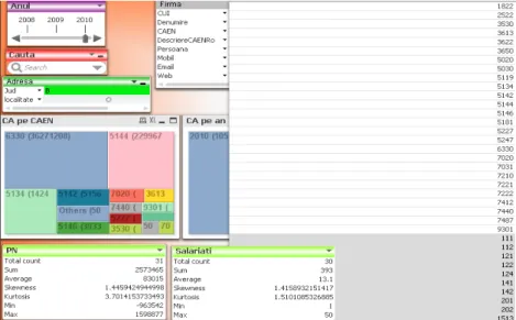 Fig. 5 Dynamic dashboard on turnover of the SMEs representative sample, or a  specified SME having as criteria company, CAEN, year, locality 