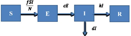 Figure (1): SEIR model based on reference [21] 