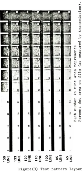 Figure (3)Testpattern layout