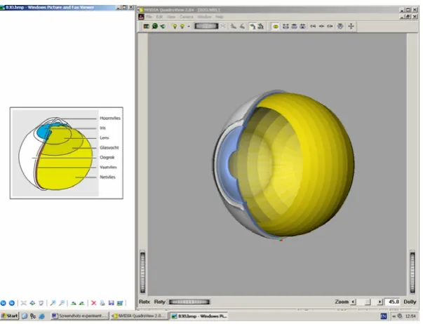 Figure 7. Screenshot of the Eye group study phase. 