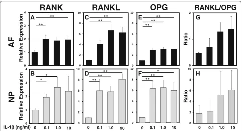 Fig. 3 The effect of interleukin-1 beta (IL-1β) on mRNA levels of receptor activator of nuclear factor kappa B (RANK)/ RANK ligand (RANKL)/ osteoprotegerin(OPG) in annulus fibrosus (AF) and nucleus pulposus (NP) cells