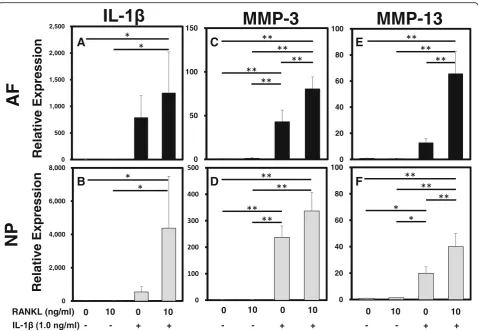 Fig. 4 The effect of receptor activator of nuclear factor kappa B ligand (RANKL) on the mRNA expression of matrix-degrading enzymes and proinflammatorycells: *mRNA expression levels ofrhIL-1d), andcytokines with or without recombinant human interleukin-1 b