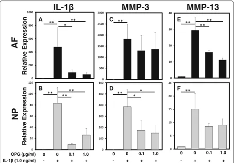 Fig. 5 The effect of osteoprotegerin (OPG) on the mRNA expression of matrix-degrading enzymes and proinflammatory cytokines with or without recombinanttrend in the expression levels ofhuman interleukin-1 beta (rhIL-1β) stimulation