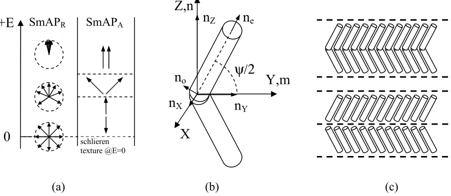 Fig. 4: (a) Ordering and switching mechanisms in SmAPThe arrows represent the secondary molecular axes and local polarization vectors; (b) the biaxiality model for bent-core molecule.ZR and SmAPA phases with increase in ﬁeld E in the vertical direction