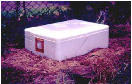 Figure 3: The termite bait box. 