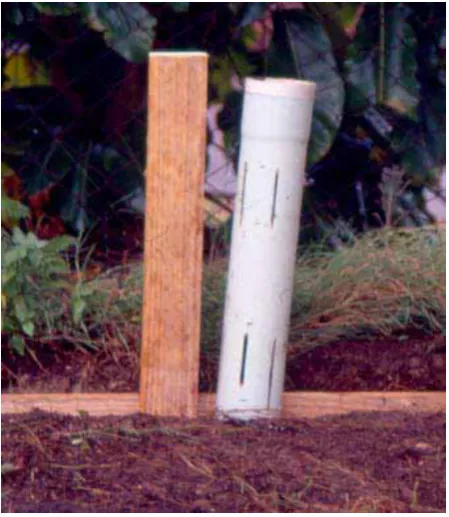 Figure 5: Installing a termite aggregation station with the plastic T piece and timber