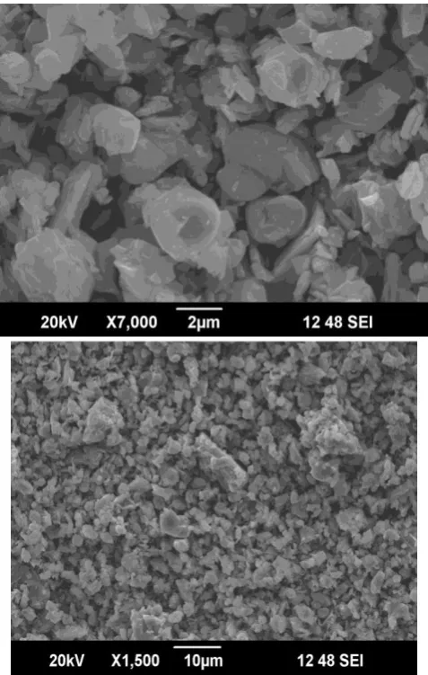 Figure 2 shows the representative SEM micrographs of fractured surface of Al-substituted sintered CaM The micrograph shows that Al substitution reduces the particle size