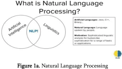 Figure 1a. Natural Language Processing 