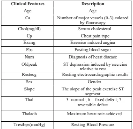 Table 2. Clinical features and their descriptions 