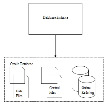 Figure 2. Oracle Single Node Deployment. 