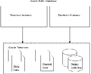 Figure 3: Real Application Cluster Architecture. 