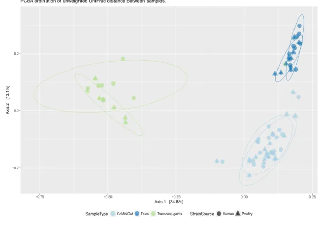Figure 6: Unweighted UniFrac-based Principal Coordinates Analysis (PCoA) showing the 