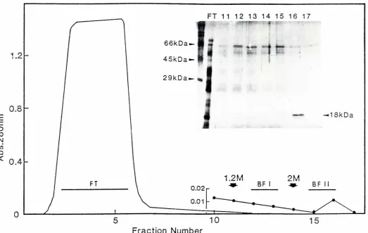 Fig. 3. Heparin-Sepharosechromatography.andOne hundred mg of crude HUase (Sigma. Lot. 79F-0098J was applied to a heparm-Sepharosecolumn (10mm;o..20 mm) eqUIlibratedwith 10 mM sodium phosphatebuffer (pH 7.4) containing 0.8 M NaC/