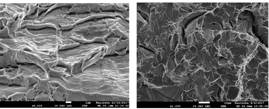 Fig. 5d. Cleavage fracture next to the circumferential notch in specimen C04; material NW, temp