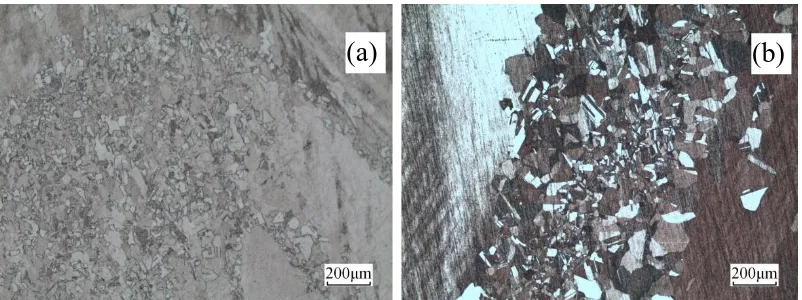 Figure 7. Microstructures of the alloy deformed at 700 C and different rates: (a) 