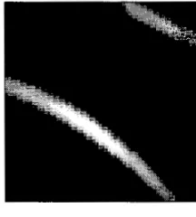 Fig. 2 Computed back-projections of representative particles 