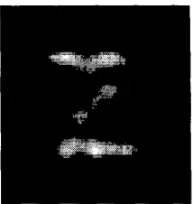 Fig. 10 Reconstructed line phantom using 16 nearest pixels, 100th iteration 