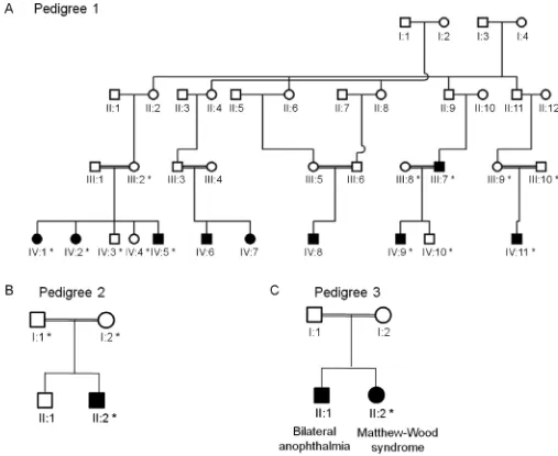 Figure 1.Pedigrees of Irish Traveller families with MCOPCB. (A–C) The inheritance pattern in each