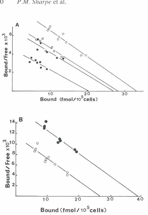 Fig. 5. Effect of bFGF, IGF-II and TGF-Bculturedpresence on 1251_EGFbindingcapacityofMEPM cells.Cells were pre-treatedfor 4 h (A) or 24 h (B) in rheor absence(J) ofbFGF(1ng/ml, .!,IGF-I/(100ng/ml,I!or TGF-61 (1 ng/ml.8;Afterpre-treatmentthespecificbindingof increasingconcentrationsof 125f_EGF (2.5-20 ng/ml) was determinedas describedinMaterialsand Methods, and expressed as a Scatchard plot.