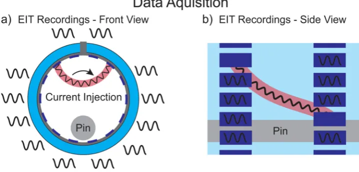 Figure 2. Schematic of a single recording of EIT data from an injection pair in both (a) front and (b) side view