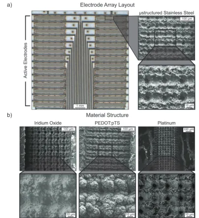 Figure 3. (a) Bright field microscope image of the uncuffed electrode surface illustrating the 28 active electrode sites