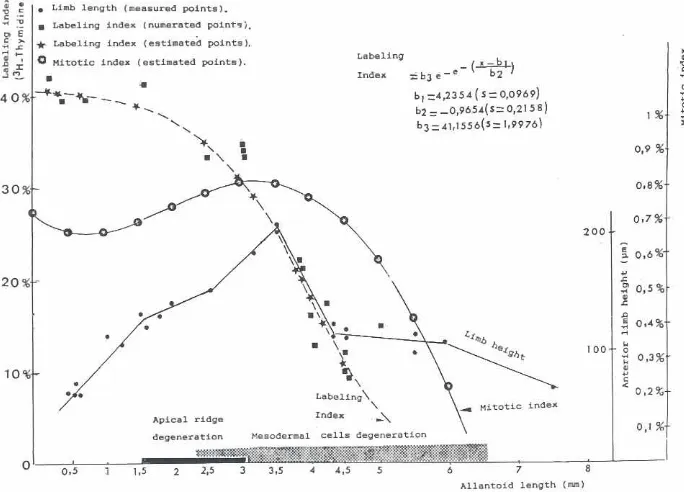 Fig. 3. CurvesvisualizingAnguisthevariationsin themitoticindex,in thelabelingindexandthegrowthandregressionof theanteriorlimbbudsoffragiUs'growthof the limb(right hand ordinate), variations of rhe mitoticIndex (right hand ordinate) and variations of the la